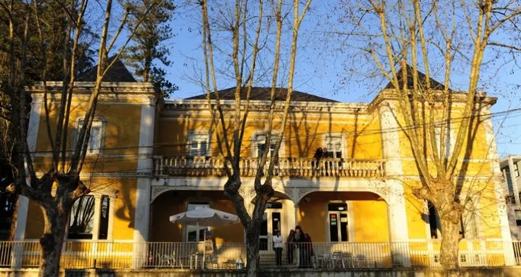 Exposição da obra de Camila Lourenço