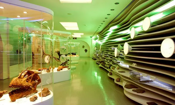 Museu de História Natural