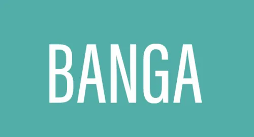 BANGA Design e Comunicação